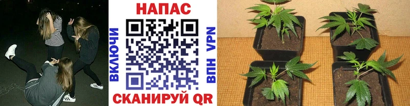 Магазины продажи наркотиков Горбатов Канабис  Мефедрон  А ПВП  Гашиш  КОКАИН 