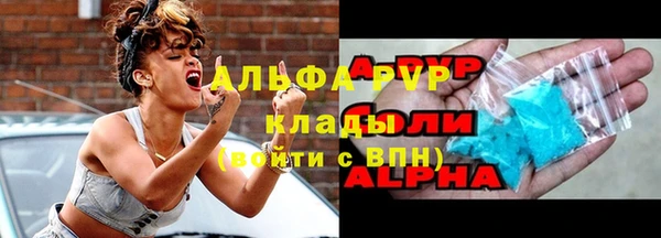 индика Абинск