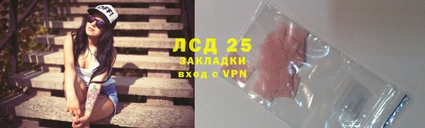 индика Абинск