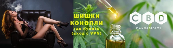 дживик Абаза