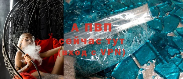 индика Абинск
