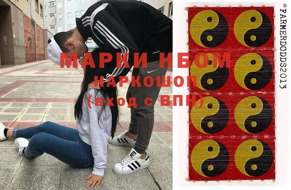 индика Абинск
