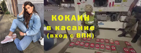 индика Абинск