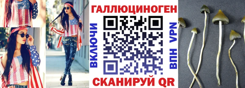 Псилоцибиновые грибы мухоморы  купить наркотик  Горбатов 